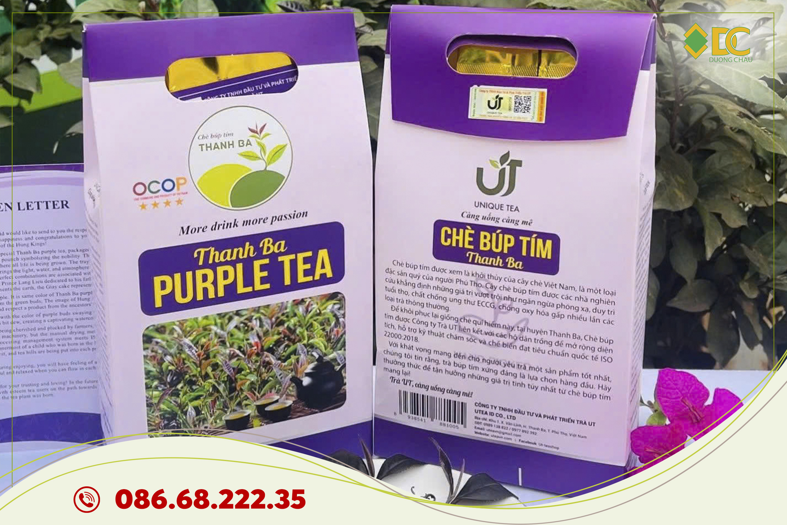 chè búp tím Thanh Ba
