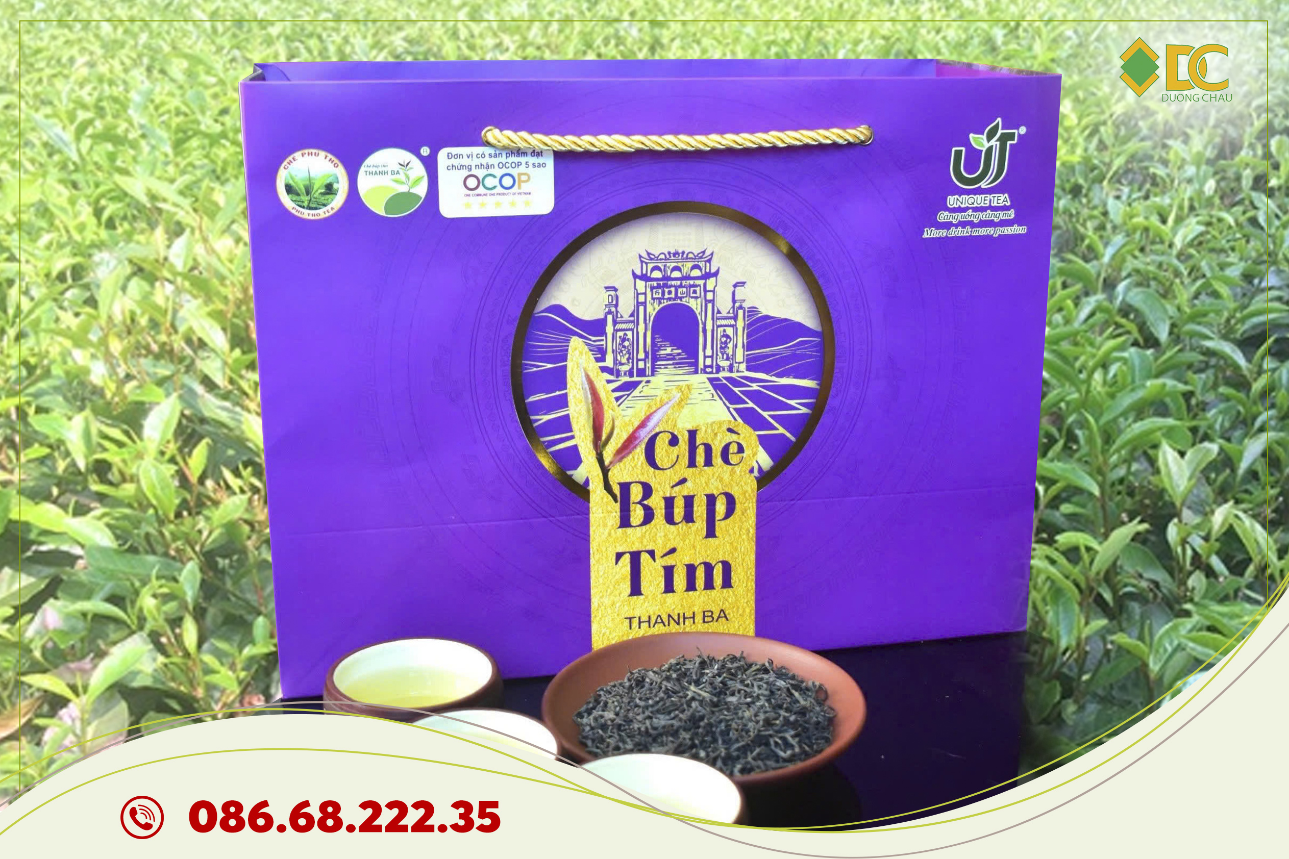 EGCG trong chè búp tím