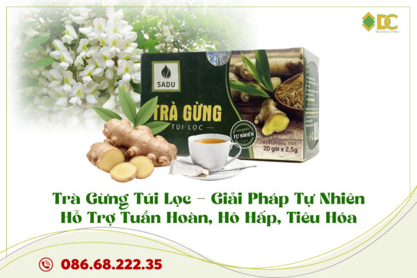 trà gừng túi lọc