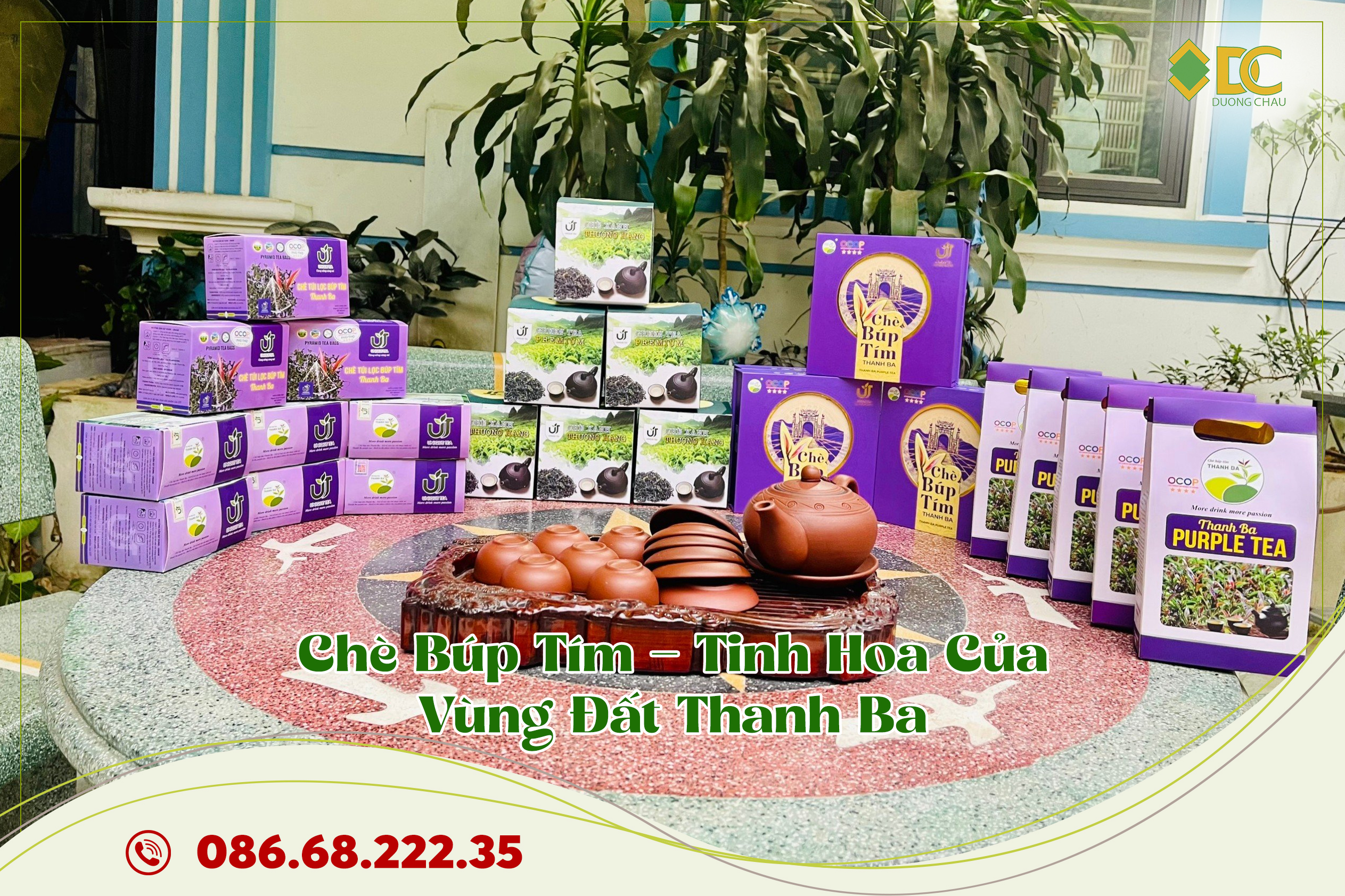 chè búp tím