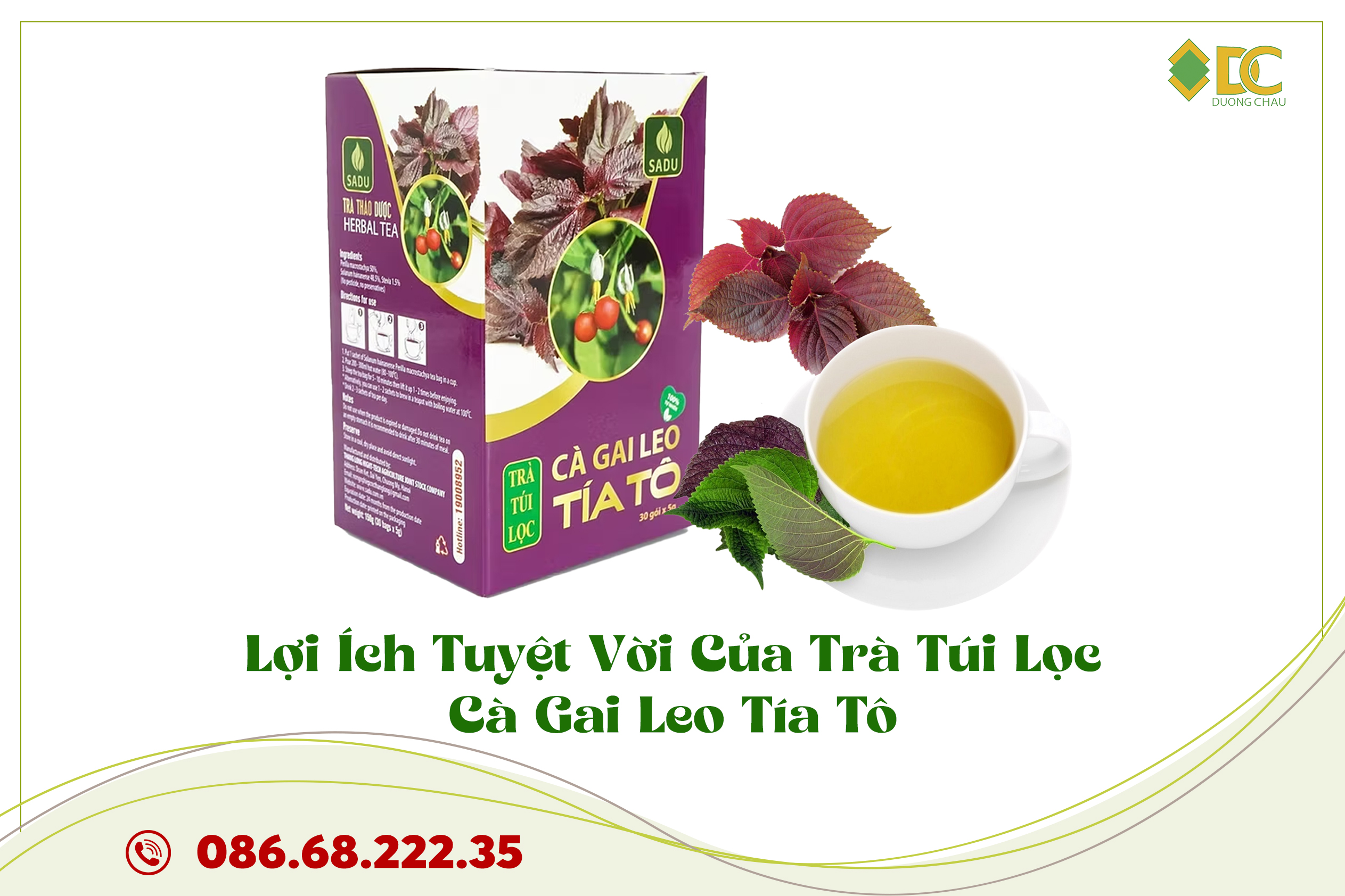 Trà Túi Lọc Cà Gai Leo Tía Tô