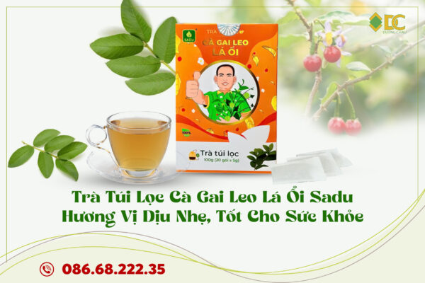 trà cà gai leo lá ổi