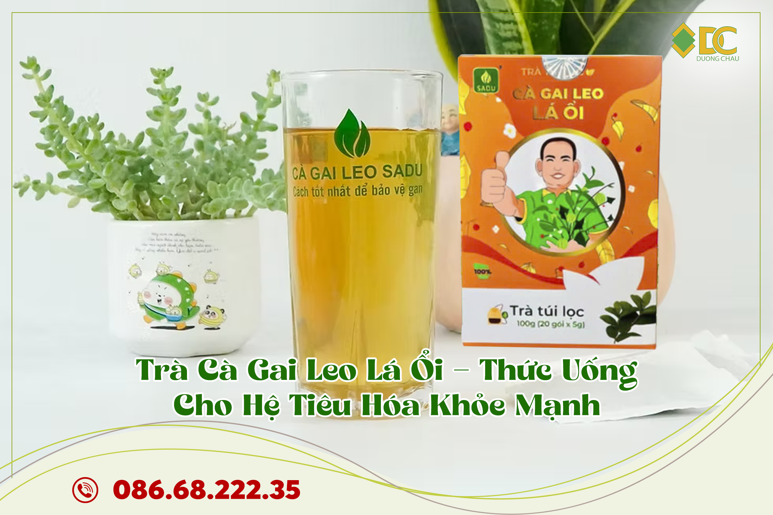 trà cà gai leo lá ổi