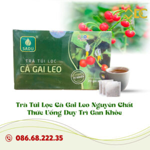 Trà Túi Lọc Cà Gai Leo Nguyên Chất – Thức Uống Duy Trì Gan Khỏe