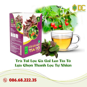Trà Túi Lọc Cà Gai Leo Tía Tô – Lựa Chọn Thanh Lọc Tự Nhiên