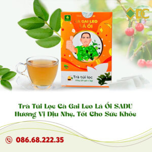 Trà Túi Lọc Cà Gai Leo Lá Ổi Sadu – Hương Vị Dịu Nhẹ, Tốt Cho Sức Khỏe